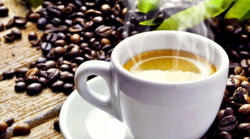Coffee » Gnews Bahia