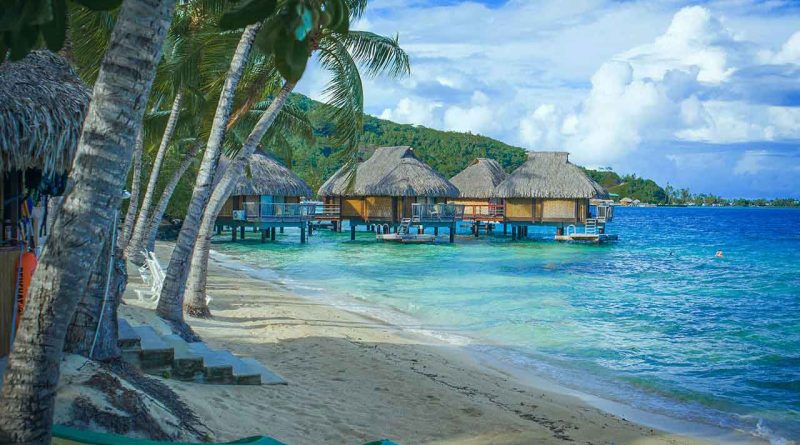 paradise blue &raquo; Gnews Bahia