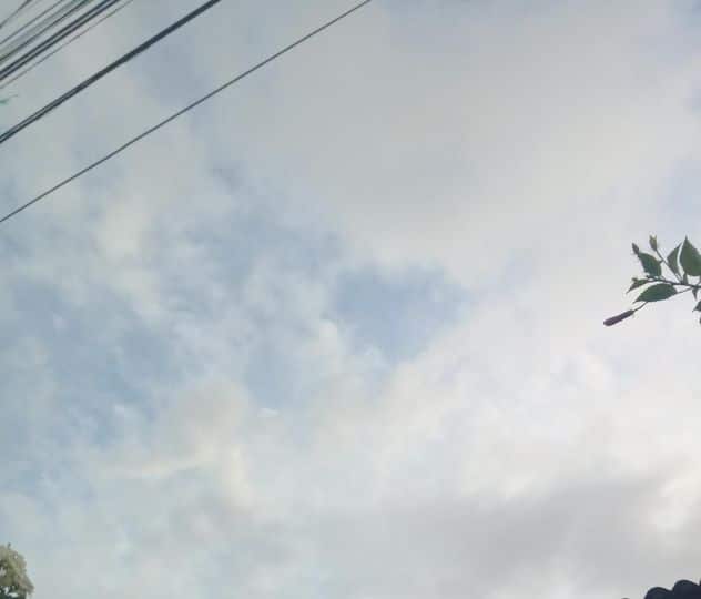 310854024 414066777467085 8490560839769696138 n » Gnews Bahia