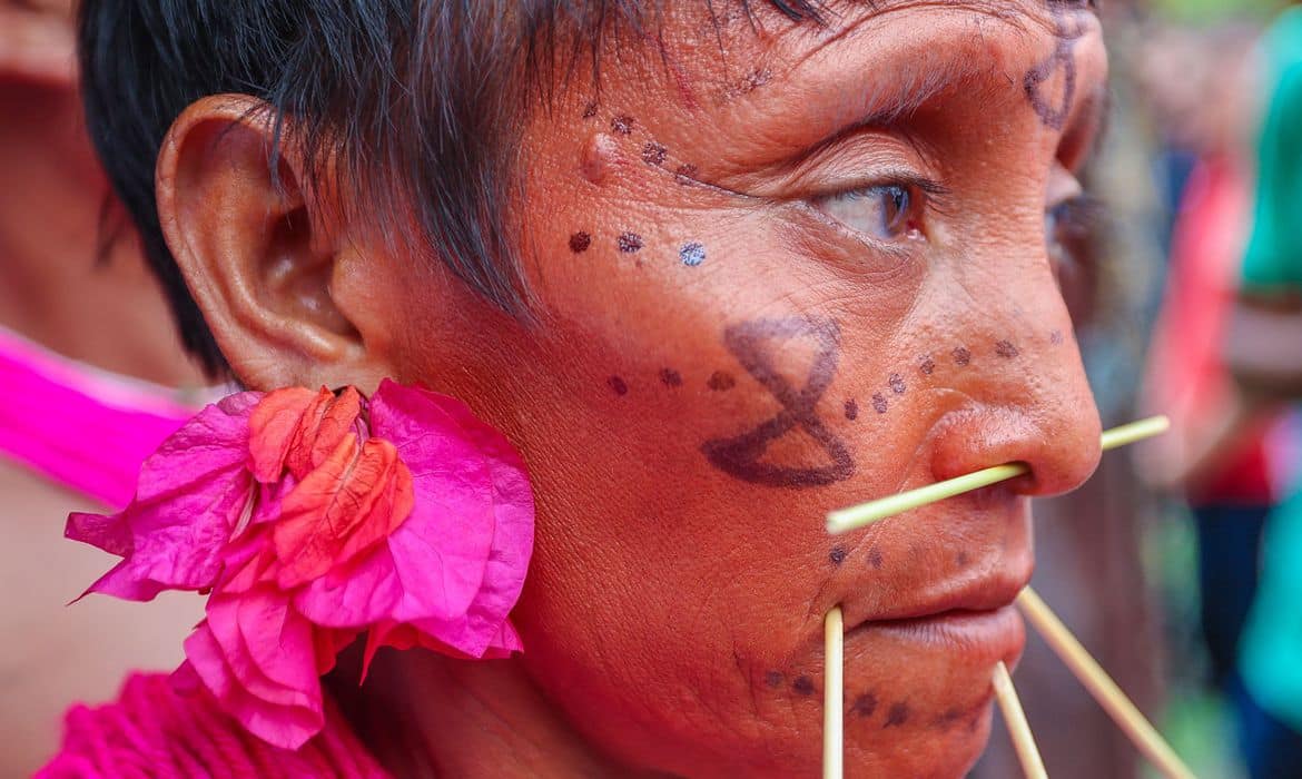 yanomami » Gnews Bahia