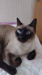 WhatsApp Image 2023 08 25 at 11.36.30 » Gnews Bahia