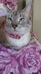 WhatsApp Image 2023 08 25 at 11.51.41 » Gnews Bahia