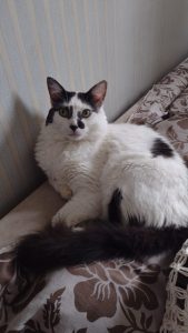 WhatsApp Image 2023 08 25 at 11.53.30 » Gnews Bahia