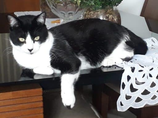 WhatsApp Image 2023 08 25 at 11.55.01 1 e1692992072883 » Gnews Bahia