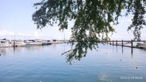 foto 1 » Gnews Bahia