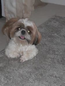 Marye » Gnews Bahia