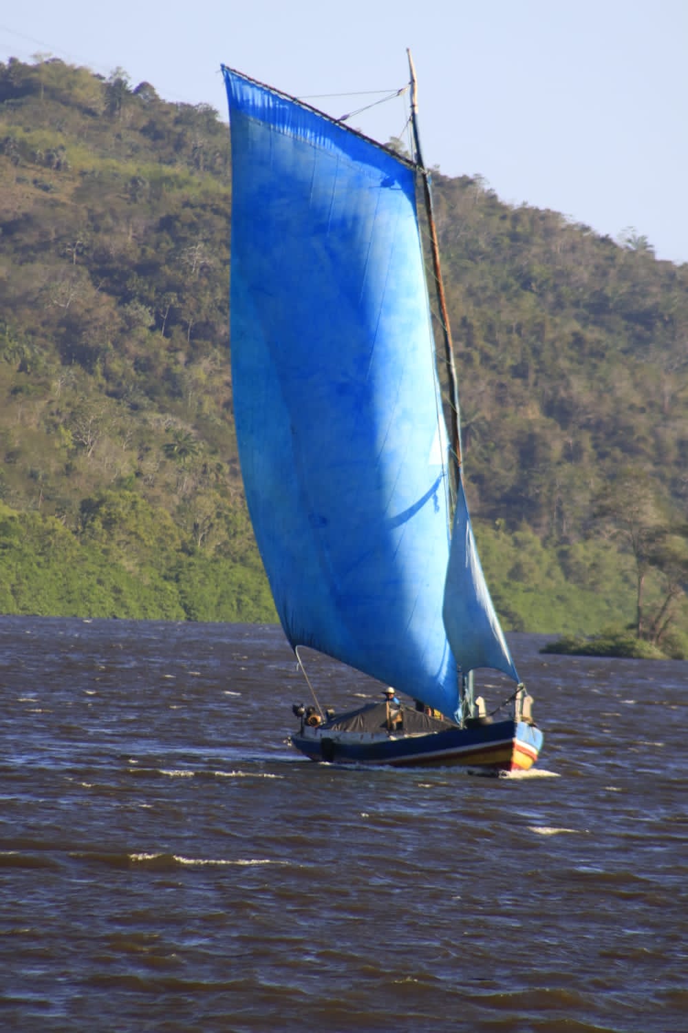 Festival dos Saveiros foto Paulo Teixeira 01 8 » Gnews Bahia