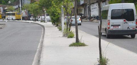 e8d0c64b95a85538a3c8115ef24b » Gnews Bahia