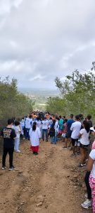 monte 1 » Gnews Bahia