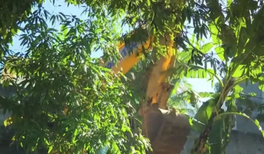 IMAGEM NOTICIA 2025 06 12T070914.156 » Gnews Bahia