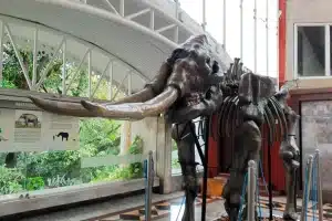 MUSEU GEOLOGICO » Gnews Bahia