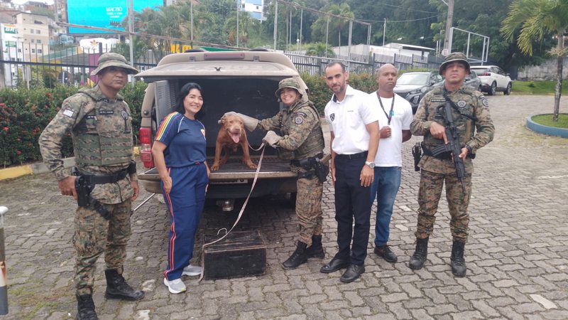 Reproducao COPPA » Gnews Bahia