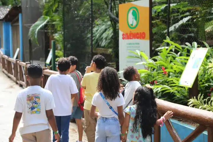 Apos reabertura zoologico recebe 67 mil visitantes0133278100202507031237 1 » Gnews Bahia