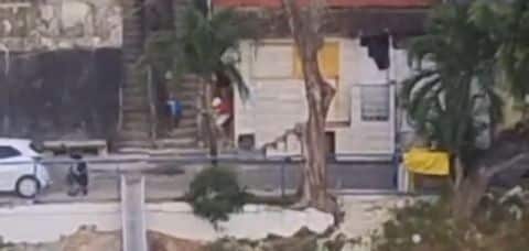 Foto Divulgacao Reproducao tiros » Gnews Bahia