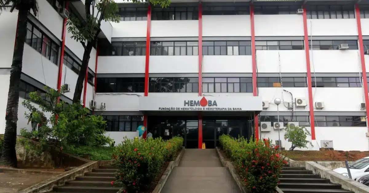 Foto Reproducao Hemoba » Gnews Bahia
