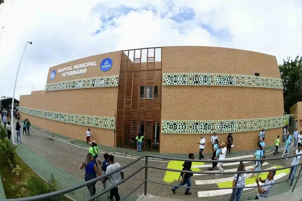 Foto Valter Pontes Secom PMS » Gnews Bahia
