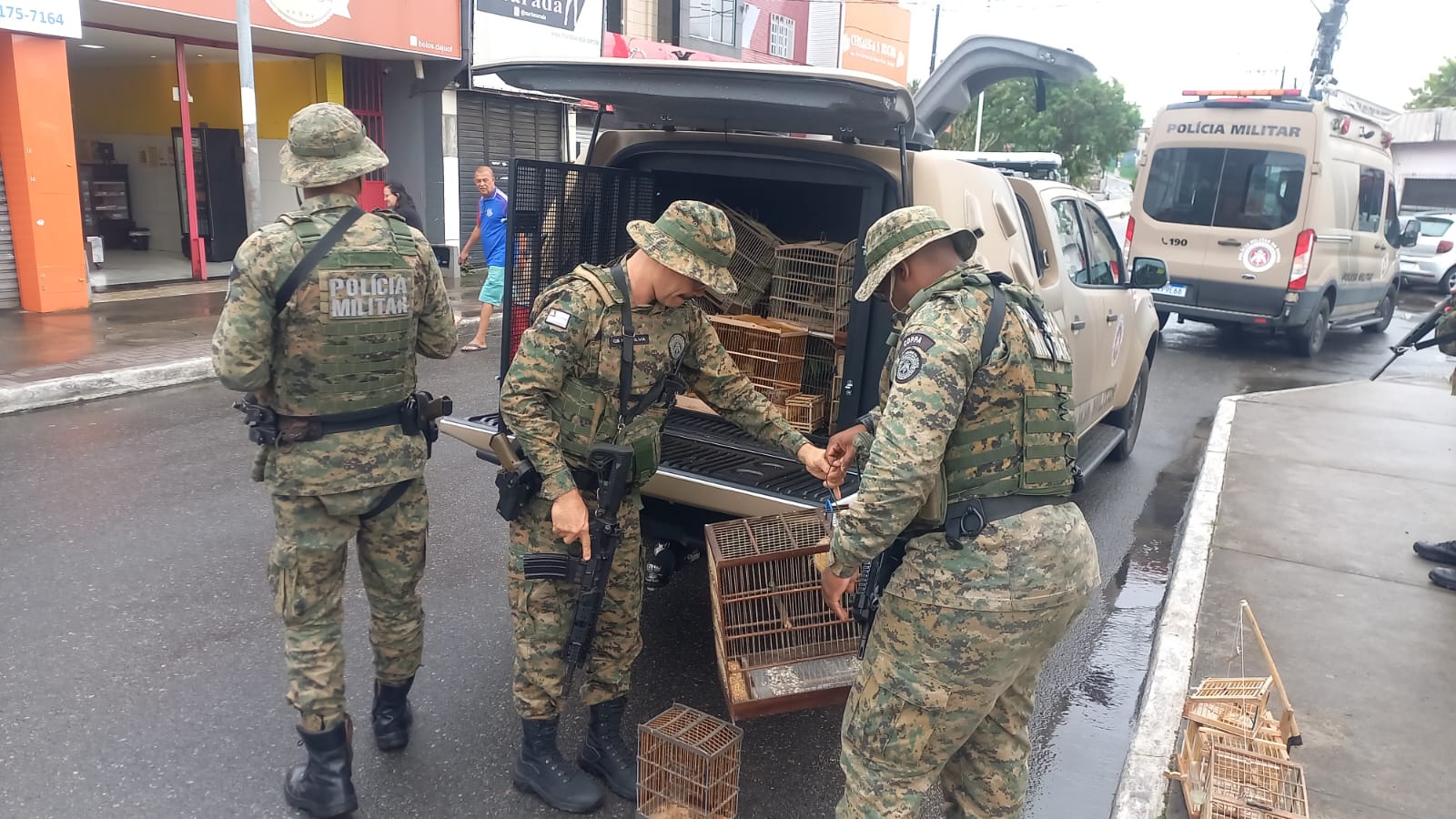 WhatsApp Image 2025 08 18 at 08.43.57 » Gnews Bahia