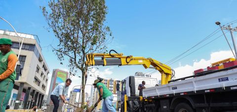 COREEDOR VERDE » Gnews Bahia
