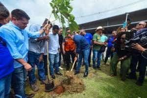 prefs planta » Gnews Bahia