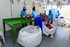 Reciclagem &raquo; Gnews Bahia