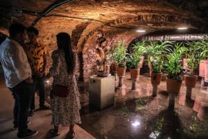 MUSEU MEIO &raquo; Gnews Bahia