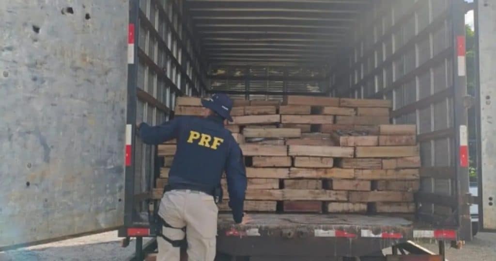 PRF PEIXE » Gnews Bahia