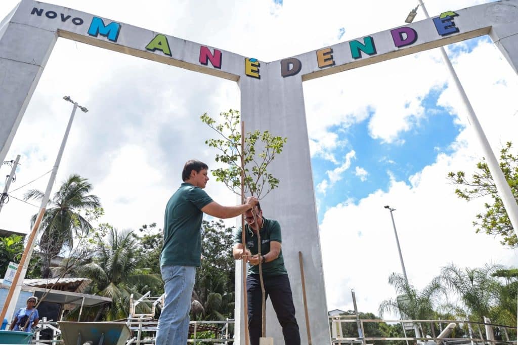 Plantio Mane Dende &raquo; Gnews Bahia