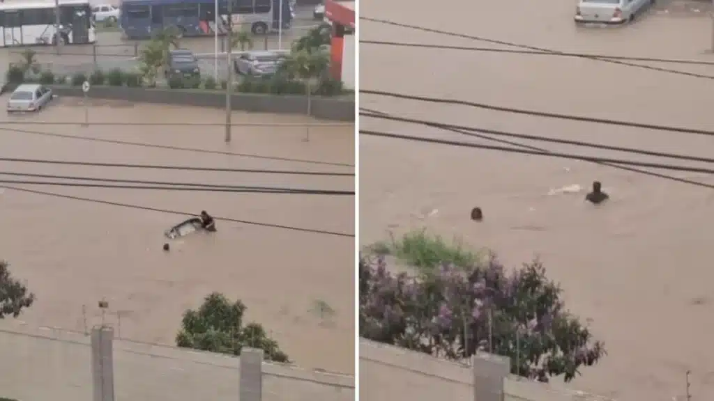 Reprodução