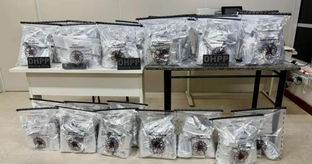 cocaina apreendida » Gnews Bahia