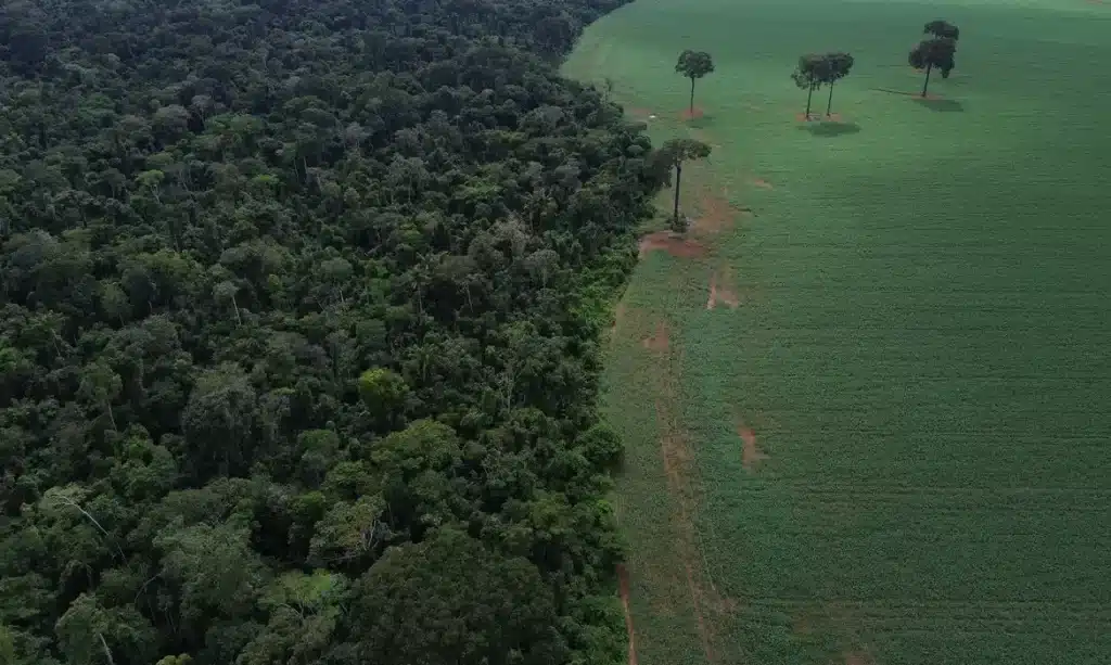 dji 0739 » Gnews Bahia