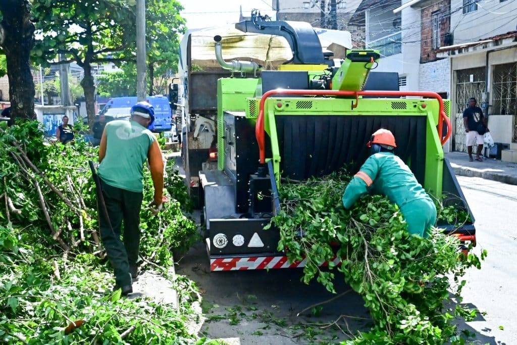 maquina trituradora poda » Gnews Bahia