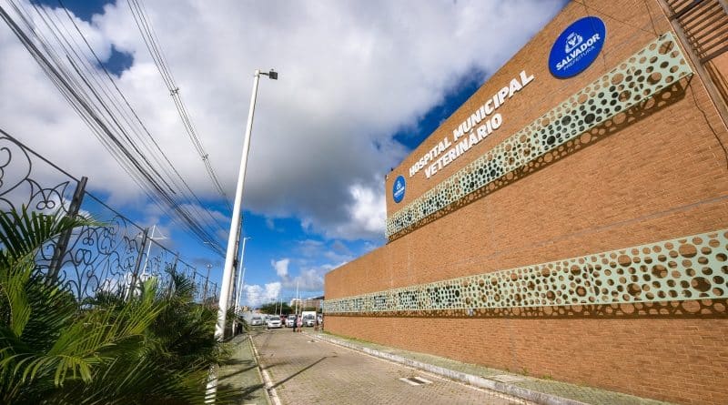 HOSPITAL » Gnews Bahia