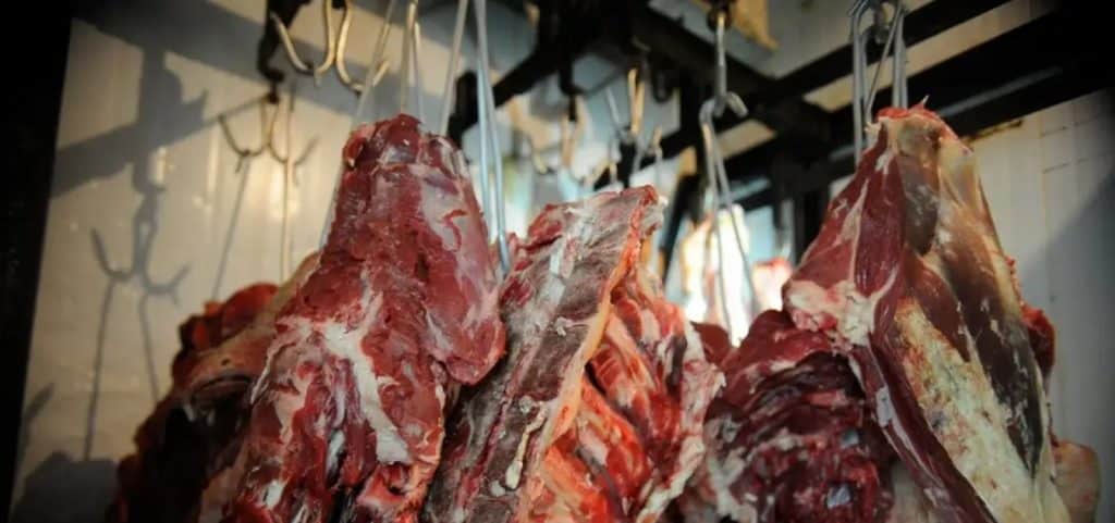183590uniao europeia oficializa veto a importacao de carne brasileira a partir de setembro 3 » Gnews Bahia