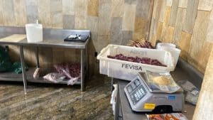 CARNE 1 » Gnews Bahia