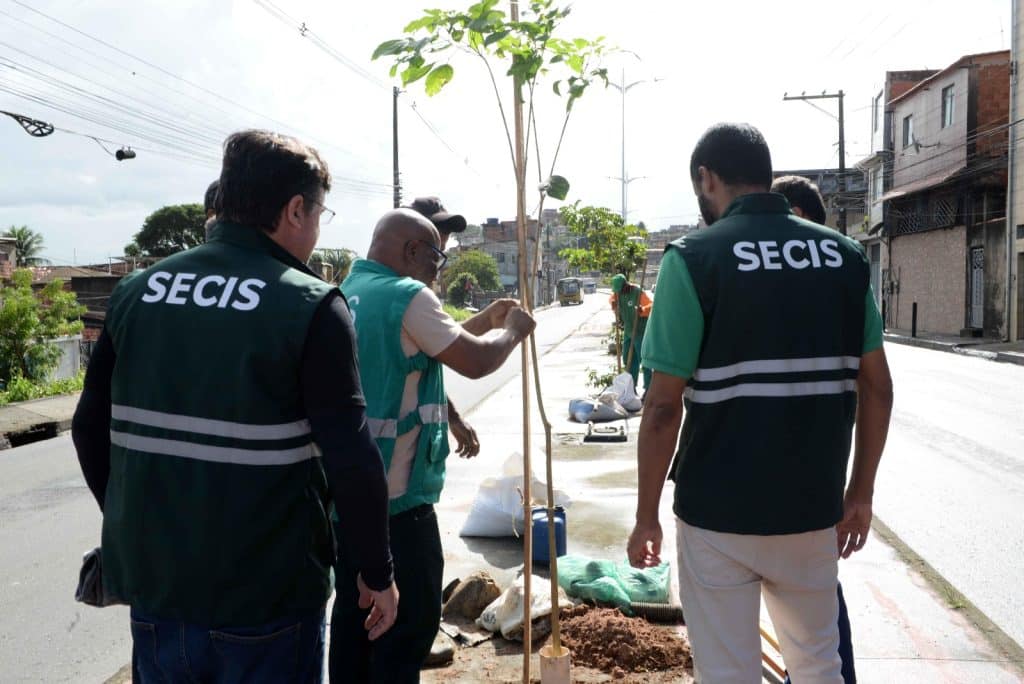 SECIS PLANTIO &raquo; Gnews Bahia