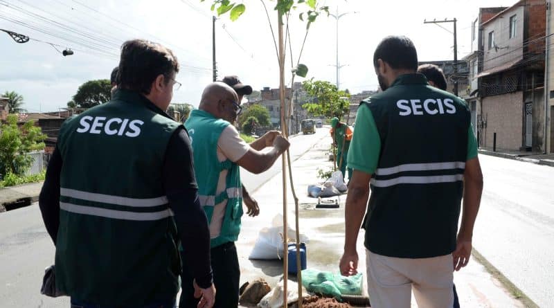 SECIS PLANTIO » Gnews Bahia