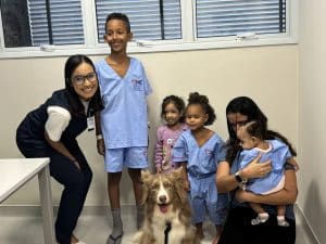 CAOTERAPIA » Gnews Bahia