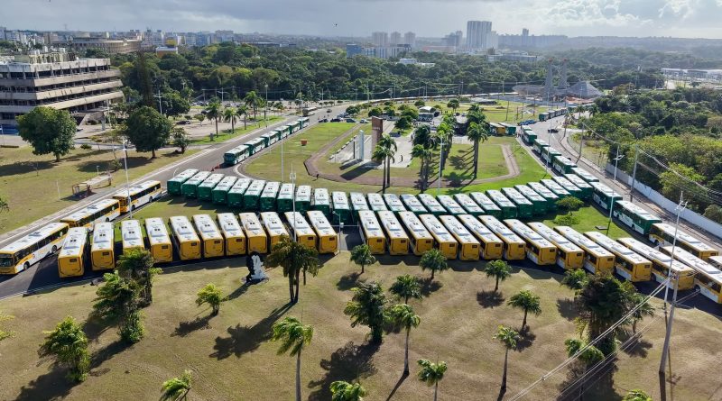 BUZU NOVO &raquo; Gnews Bahia