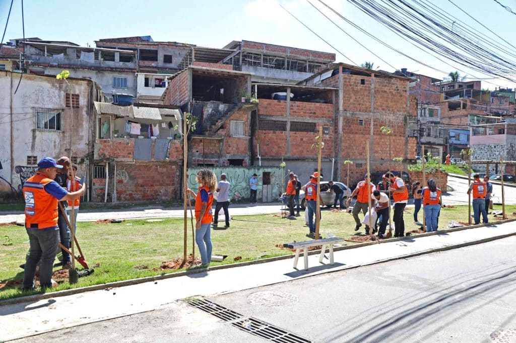 Plantio rua &raquo; Gnews Bahia