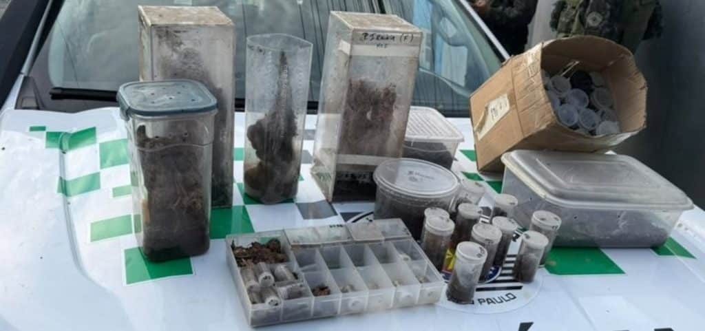 189200salvador e alvo de operacao da pf contra trafico de animais silvestres 3 » Gnews Bahia
