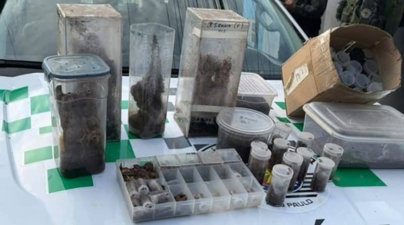 189200salvador e alvo de operacao da pf contra trafico de animais silvestres 3 &raquo; Gnews Bahia