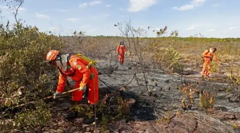 Bombeiros &raquo; Gnews Bahia