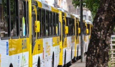 Transporte terá operação especial durante o feriadão em Salvador