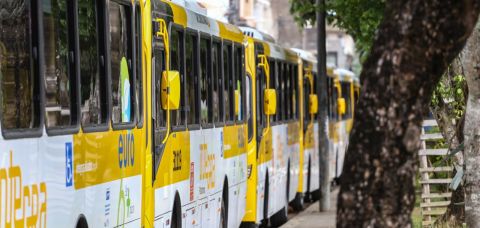Transporte terá operação especial durante o feriadão em Salvador