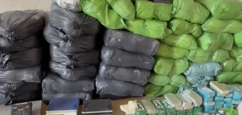 DROGAS APREENDIDAS » Gnews Bahia